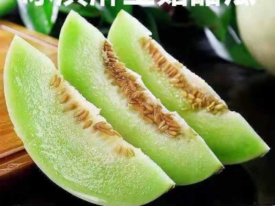 网红冰淇淋玉菇甜瓜新鲜当季水果白皮绿肉香甜玉茹蜜小香瓜包邮图3