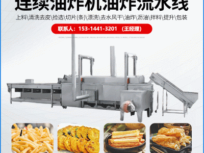 大型连续式油炸机 全自动油炸流水线 薯条油炸机小酥肉油炸线图2