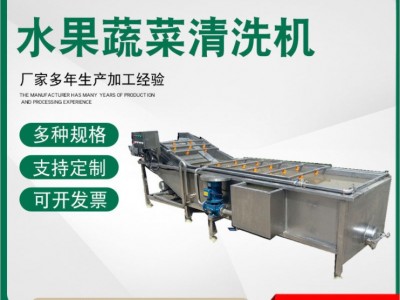 商用全自动洗菜机 果蔬气泡清洗机 不锈钢全自动蔬菜清洗机图5