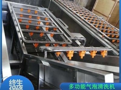 商用全自动洗菜机 果蔬气泡清洗机 不锈钢全自动蔬菜清洗机图2