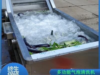 商用全自动洗菜机 果蔬气泡清洗机 不锈钢全自动蔬菜清洗机图3