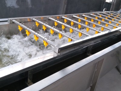 香椿清洗机 果蔬清洗机 果蔬脆清洗加工设备 全自动蔬菜清洗机图3