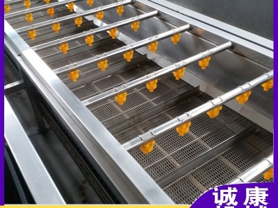 香椿清洗机 果蔬清洗机 果蔬脆清洗加工设备 全自动蔬菜清洗机图2