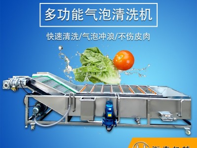 果蔬气泡清洗机 水果蔬菜清洗设备 全自动大型商用连续叶类洗菜机图2