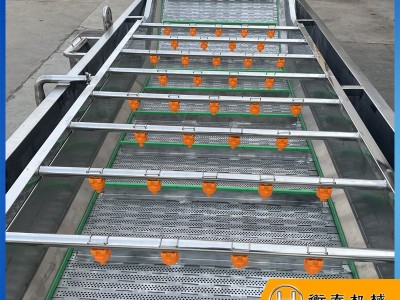 果蔬气泡清洗机 水果蔬菜清洗设备 全自动大型商用连续叶类洗菜机图5