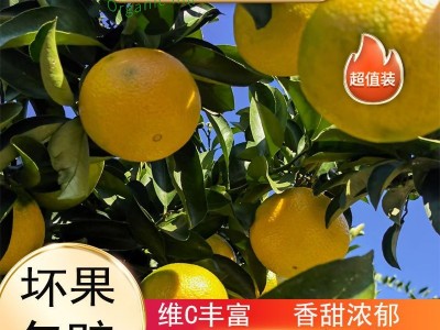【福建甜桔柚】当季新鲜水果皮薄肉厚美味多汁甜心柚子一件代发图2