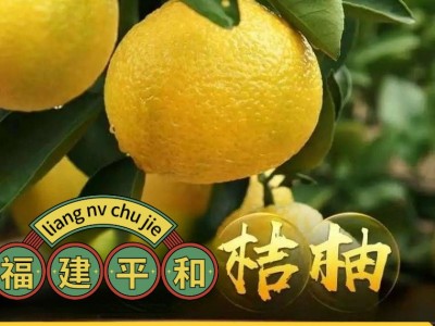 【福建甜桔柚】当季新鲜水果皮薄肉厚美味多汁甜心柚子一件代发图4