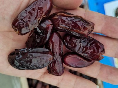 伊朗黑椰枣整箱10公斤批发散装 大量椰枣干 沙特迪拜大黑椰枣代发图3