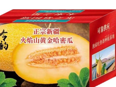 哈密瓜新疆哈密瓜10斤当季新鲜水果脆甜网纹季小香瓜整箱5斤包邮图5