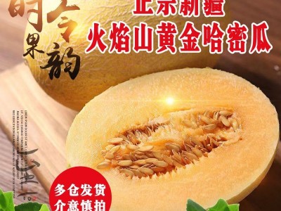 哈密瓜新疆哈密瓜10斤当季新鲜水果脆甜网纹季小香瓜整箱5斤包邮图2
