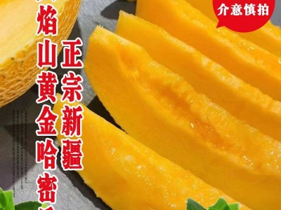 哈密瓜新疆哈密瓜10斤当季新鲜水果脆甜网纹季小香瓜整箱5斤包邮图4