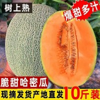 哈密瓜新疆哈密瓜10斤当季新鲜水果脆甜网纹季小香瓜整箱5斤包邮