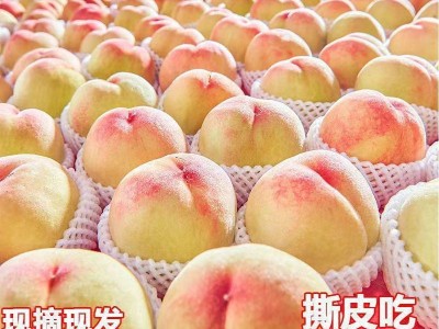 水蜜桃顺丰发货爆甜无锡阳山新鲜桃子水果甜多汁当季现摘可撕皮图2