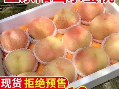 水蜜桃顺丰发货爆甜无锡阳山新鲜桃子水果甜多汁当季现摘可撕皮图3