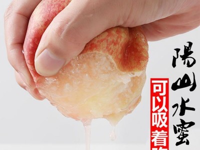 水蜜桃顺丰发货爆甜无锡阳山新鲜桃子水果甜多汁当季现摘可撕皮图5