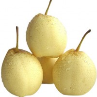 厂家常年供应新梨7号 pear 欢迎选购 价格美丽