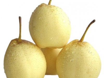 厂家常年供应新梨7号 pear 欢迎选购 价格美丽图6