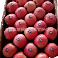工厂常年供应富士苹果 apple ，粉红女士苹果，质量保证