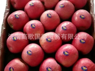 工厂常年供应富士苹果 apple ，粉红女士苹果，质量保证图6