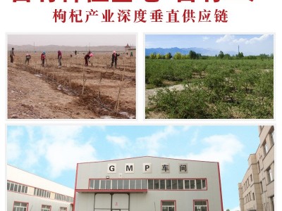 厂家一件代发散装枸杞小红货泡酒干吃枸杞子即食甘甜低硫红枸杞图3