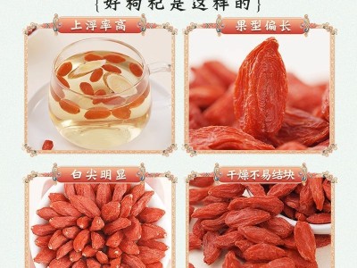 代发包邮 正宗宁夏中宁枸杞干特级大颗粒免洗500g头茬泡水枸杞子图2