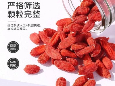 宁夏中宁特级枸杞新货大颗粒500g散装罐装大果枸杞子现货批发代发图3