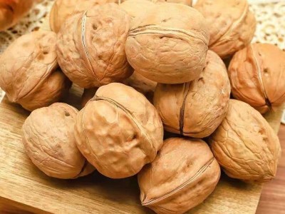 新疆纸皮核桃大量批发500g 新货手剥坚果核桃学生零食薄皮生核桃图2