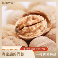 新疆纸皮核桃大量批发500g 新货手剥坚果核桃学生零食薄皮生核桃