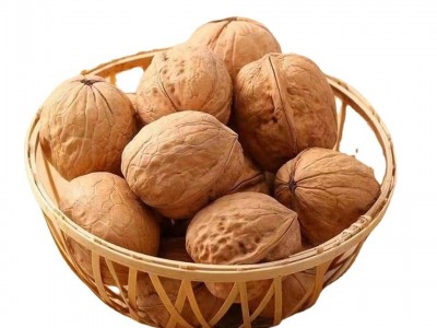 新疆纸皮核桃大量批发500g 新货手剥坚果核桃学生零食薄皮生核桃图5