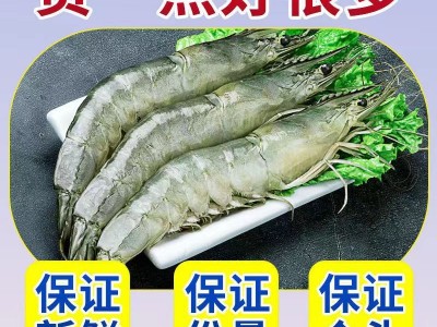 青岛大虾特大鲜活基围虾新鲜海虾盐冻虾整箱海水虾海鲜批发图3