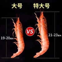 阿根廷红虾 大L1红虾2kg 焗虾鲜活大虾船冻海鲜4斤大红虾可刺身商