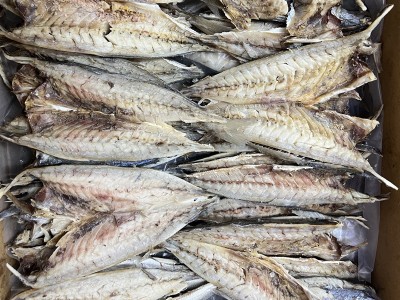 散装批发福建养殖巴浪鱼 原味咸鱼海鲜即食干货鱼干 一手货源量大图3