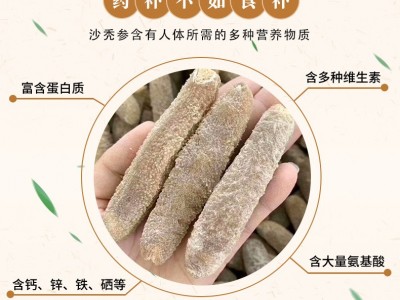 一德路批发货源沙秃参Q弹不腻 金沙秃参明秃参 淡干足干海参干货图3