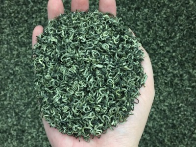 碧螺春绿茶2023新茶叶正宗明前散装一级碧螺春嫩芽茶散装春茶500g图3
