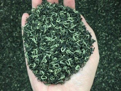 碧螺春绿茶2023新茶叶正宗明前散装一级碧螺春嫩芽茶散装春茶500g图4