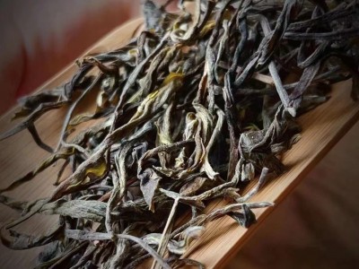 好茶推荐 南颂猫耳朵普洱生茶礼盒装500克图5