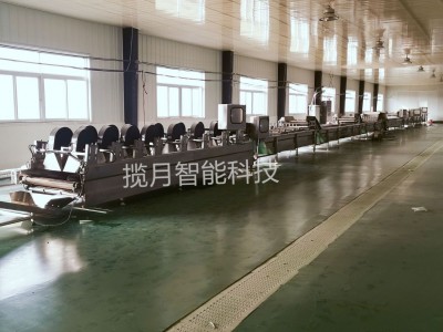 揽月供应净菜加工流水线 净菜加工设备 果蔬流水线设备图4