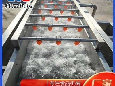 商用玉米气泡清洗机 高压喷淋大姜去泥清洗机 清洗漂烫风干流水线图4