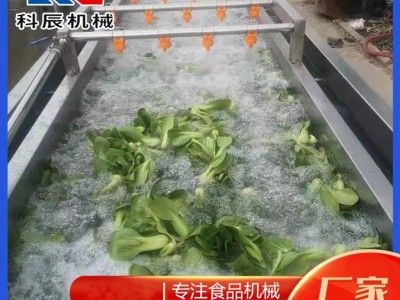 商用玉米气泡清洗机 高压喷淋大姜去泥清洗机 清洗漂烫风干流水线图2