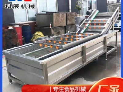 果蔬翻浪式气泡清洗机 中药材气泡清洗机 苹果鸭梨气泡清洗机图5