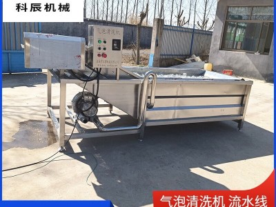 果蔬气泡清洗机流水线 西红柿辣椒气泡清洗机 玉米清洗风干生产线图3
