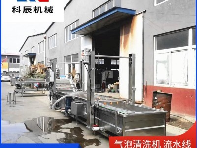 果蔬气泡清洗机流水线 西红柿辣椒气泡清洗机 玉米清洗风干生产线图2