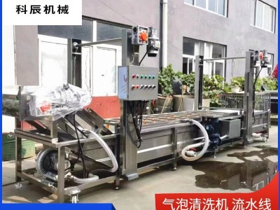 果蔬气泡清洗机流水线 西红柿辣椒气泡清洗机 玉米清洗风干生产线图4