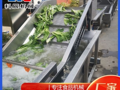 商用蔬菜气泡清洗机 全自动蔬菜水果清洗机 叶菜类净菜加 工流水线图5