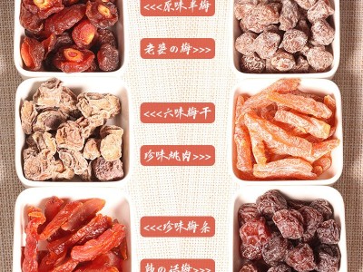 梅町日记传统蜜饯儿时杨梅桃肉老婆梅话梅半梅干李梅青梅24瓶/箱图3