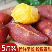 红薯正宗临安天目山小香薯10斤农产品一件代发蜜薯紫薯地瓜番薯