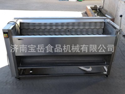 毛刷辊土豆芋头清洗去皮机 青白萝卜胡萝卜马蹄莲藕毛刷清洗机图4