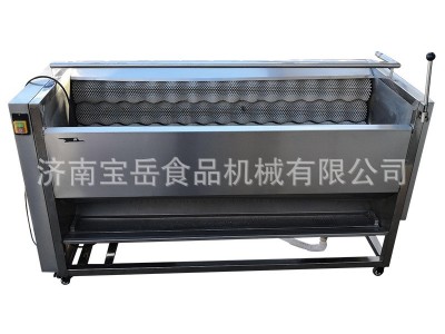 毛刷辊土豆芋头清洗去皮机 青白萝卜胡萝卜马蹄莲藕毛刷清洗机图5