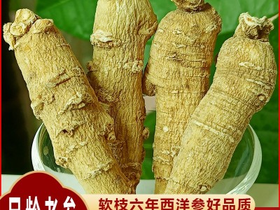 东北长白山西洋参粒头个条段切片西洋参批发软质各种规格大货投料图1