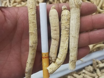 西洋参条东北长白山整枝花旗参个 一手货源实体店铺各种规格齐全图3